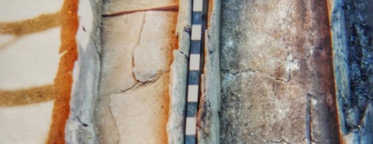 Саркофаги з поховального комплексу ХV ст. 1998 р.