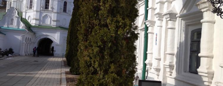 Вшанування пам’яті Тараса Григоровича Шевченка в Національному заповіднику «Києво-Печерська лавра» image 9